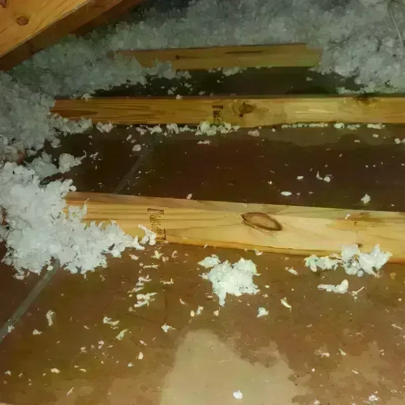 Attic Water Damage in Davis County, IA