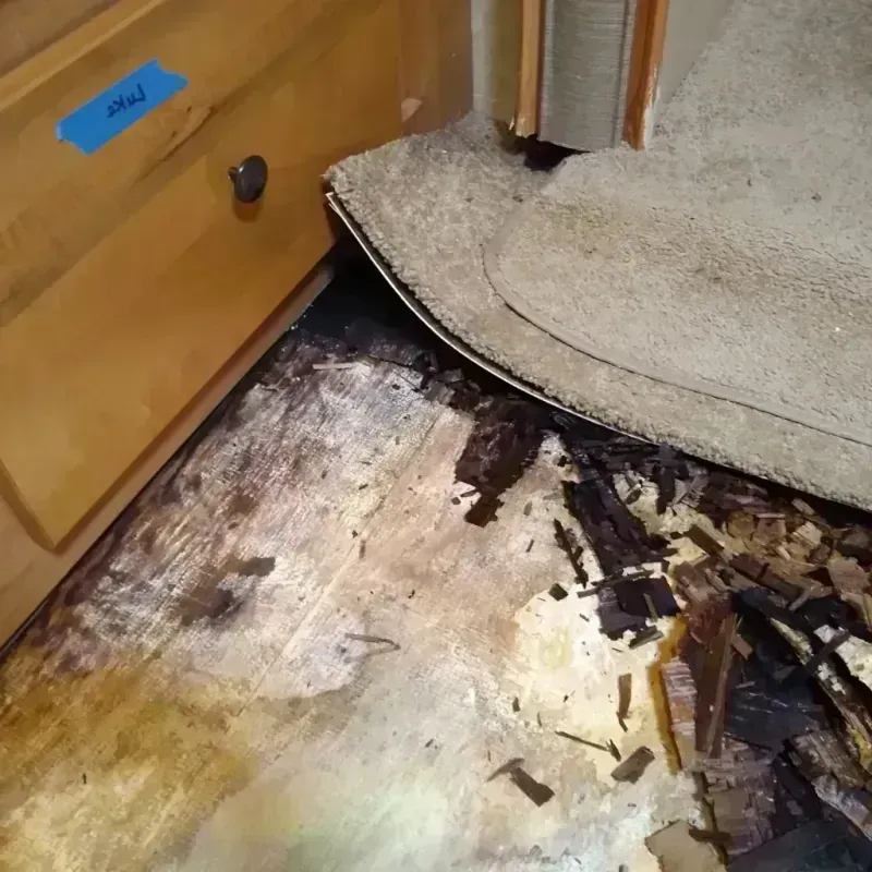 Wood Floor Water Damage in Davis County, IA